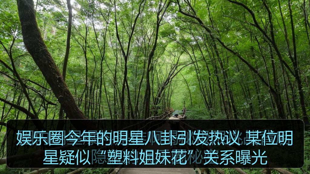 娱乐圈今年的明星八卦引发热议 某位明星疑似“塑料姐妹花”关系曝光